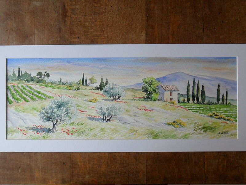 Panoramique aux Oliviers