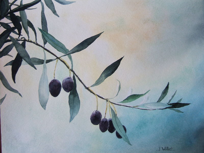 Branche d'Olivier (24x32)