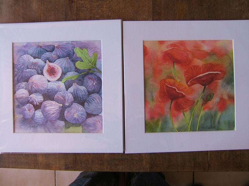Les Figues - Impression Coquelicot (22x22)