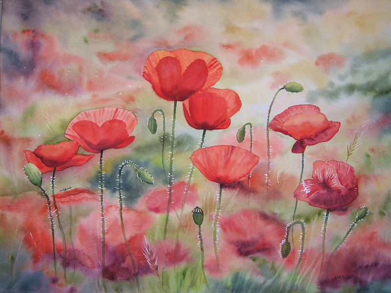 Les Coquelicots (43x60)