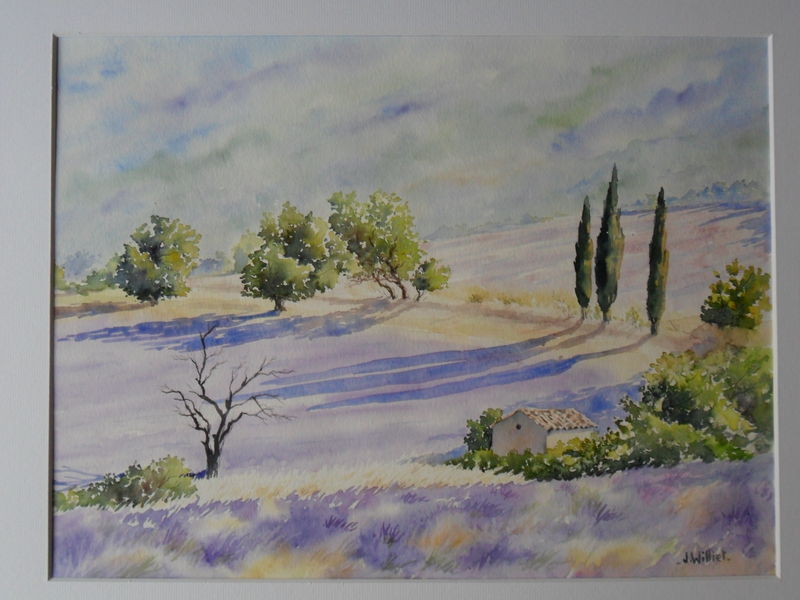 Ombres sur les Lavandes (30x40)