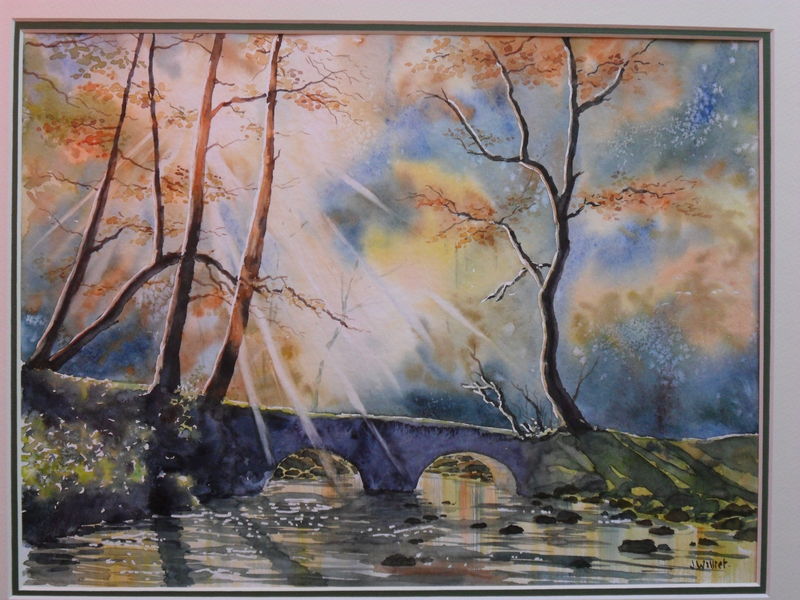 Lumière dans la Forêt (30x40)