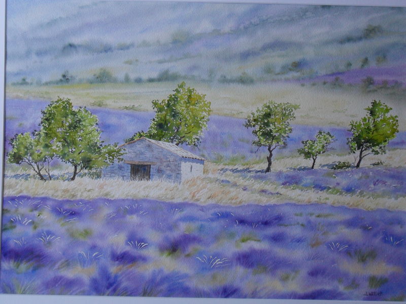 Cabanon aux Lavandes (45x60)