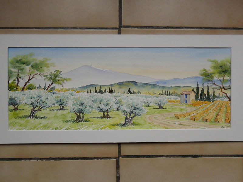 Oliviers près de Carpentras