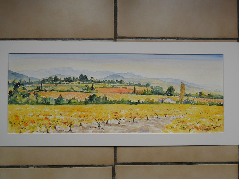 Vignes en Automne près de Séguret