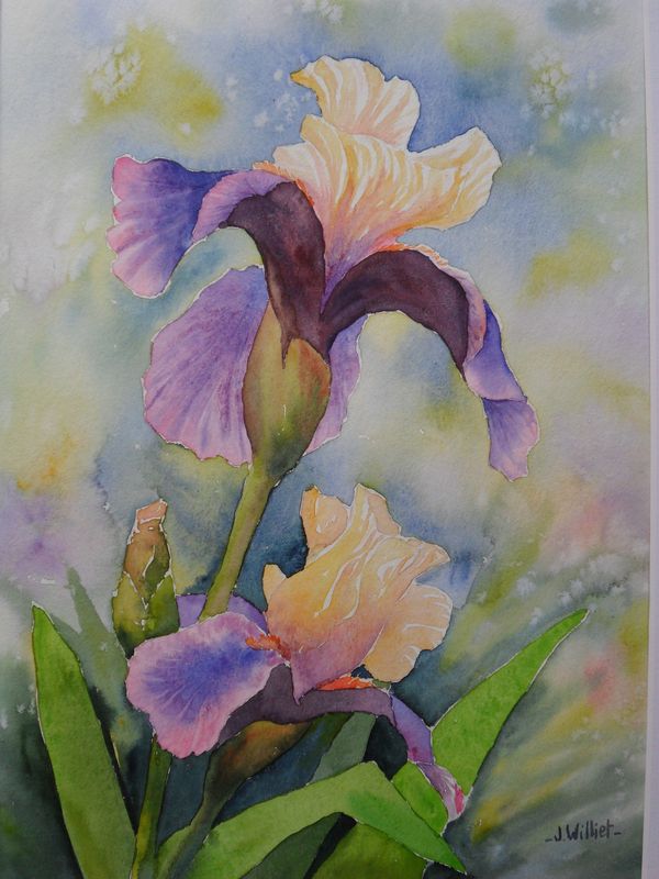 Les Iris de Martine (24x32)
