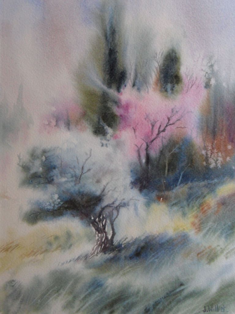 L'olivier et l'arbre de Judée