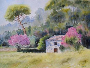 Le cabanon aux arbres de Judée (réservé)