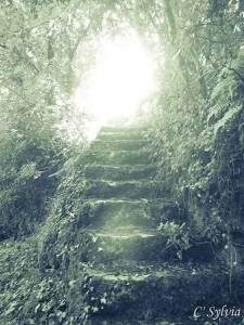 Monter vers la lumière