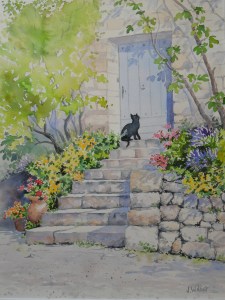 Le chat sur les marches