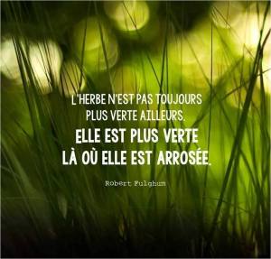 citation