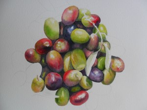 olives en cours