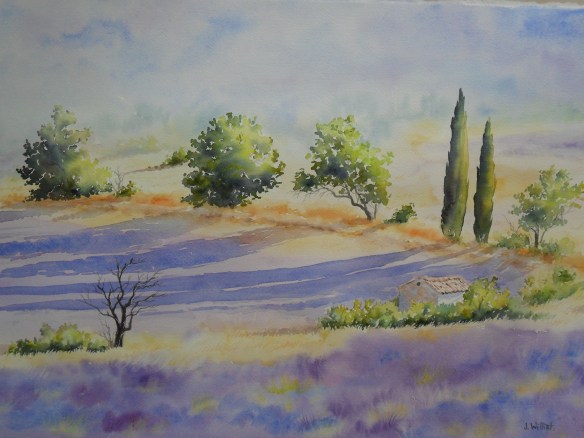 ombres sur les lavandes