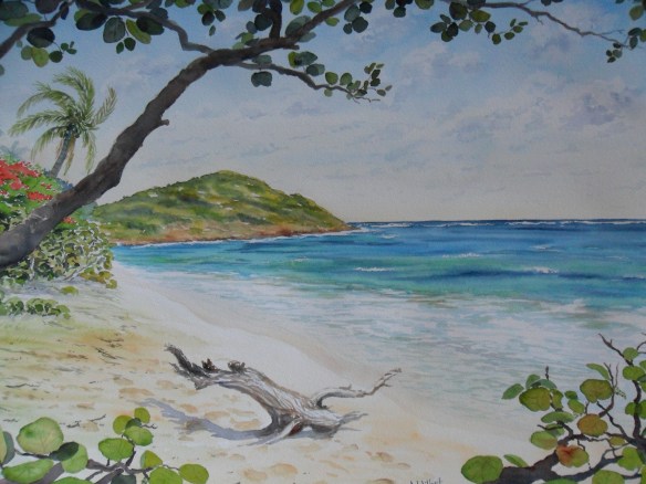 la-plage-du-cap-macre