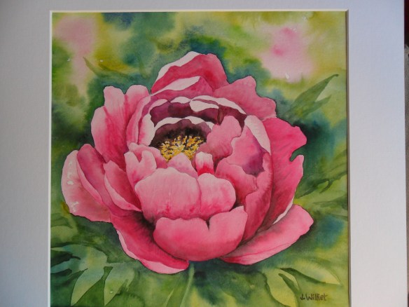 La pivoine rose (30 x 30 cm)