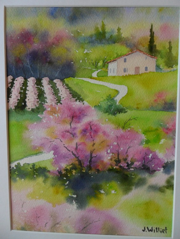 les arbres de Judée - stage