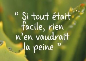 si tout était facile