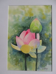 Fleur de lotus et son bourgeon