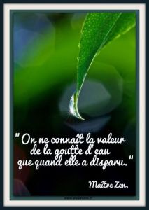 goutte d'eau