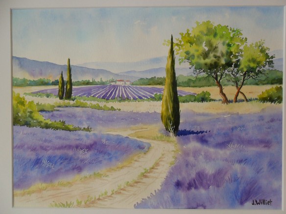 La saison des lavandes (30 x 40 cm)