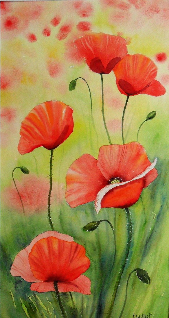les coquelicos 20 x 50 cm